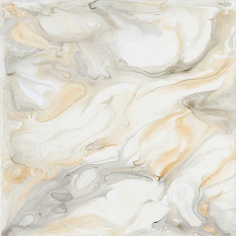 Alabaster III Black Modern Wood Framed Art Print by Banks, Debbie