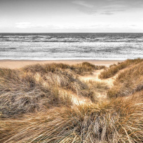 Beach Dunes White Modern Wood Framed Art Print with Double Matting by Frank, Assaf