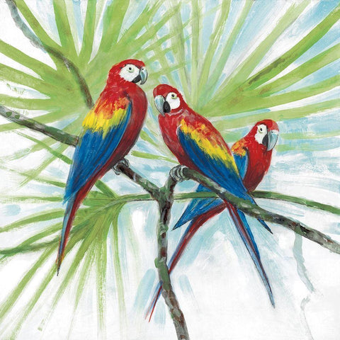 Parrots White Modern Wood Framed Art Print by Fisk, Arnie