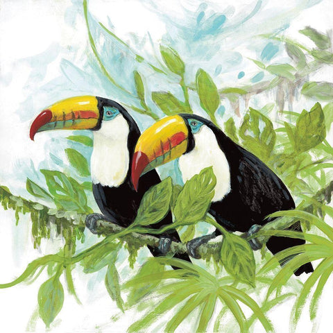 Toucans White Modern Wood Framed Art Print by Fisk, Arnie