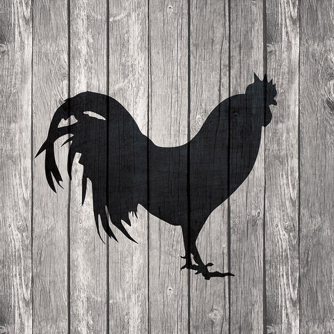 Barn Rooster White Modern Wood Framed Art Print with Double Matting by Venter, Tandi