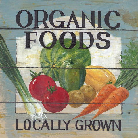 Organic Foods Black Modern Wood Framed Art Print by Fisk, Arnie