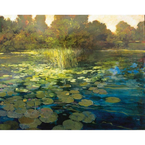 Waterlilies White Modern Wood Framed Art Print by Craig, Philip