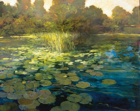 Waterlilies White Modern Wood Framed Art Print with Double Matting by Craig, Philip