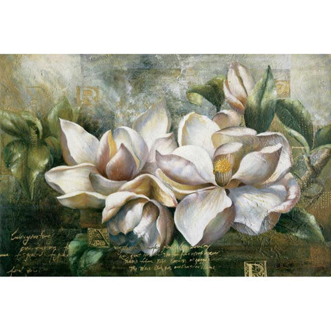 Dawning Magnolias White Modern Wood Framed Art Print by Meng