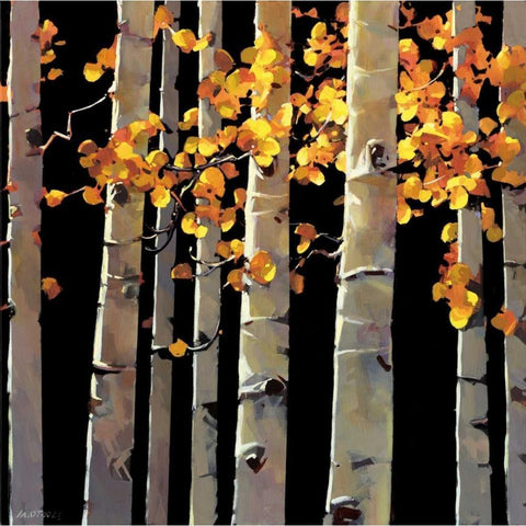 Aspen Grove Black Modern Wood Framed Art Print by OToole, Michael