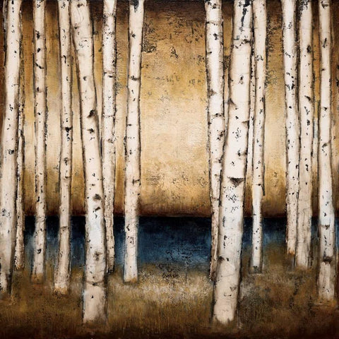 Birch Landing White Modern Wood Framed Art Print by St.Germain, Patrick