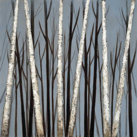 Birch Shadows White Modern Wood Framed Art Print with Double Matting by EVE
