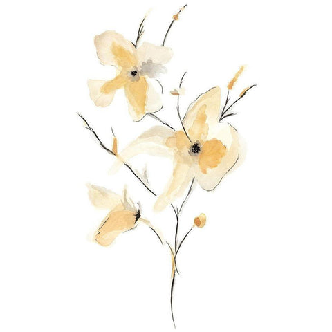 Morning Glory I Black Modern Wood Framed Art Print with Double Matting by Golden, Corrie