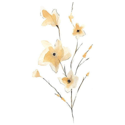 Morning Glory II Gold Ornate Wood Framed Art Print with Double Matting by Golden, Corrie