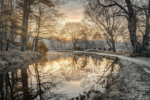 Frosty Morning White Modern Wood Framed Art Print with Double Matting by Frank, Assaf