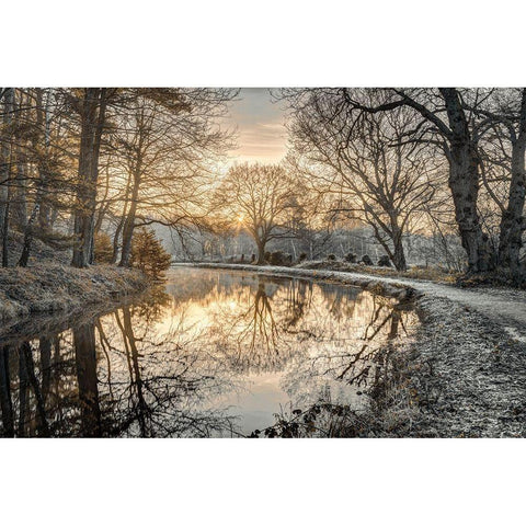 Frosty Morning Black Modern Wood Framed Art Print by Frank, Assaf