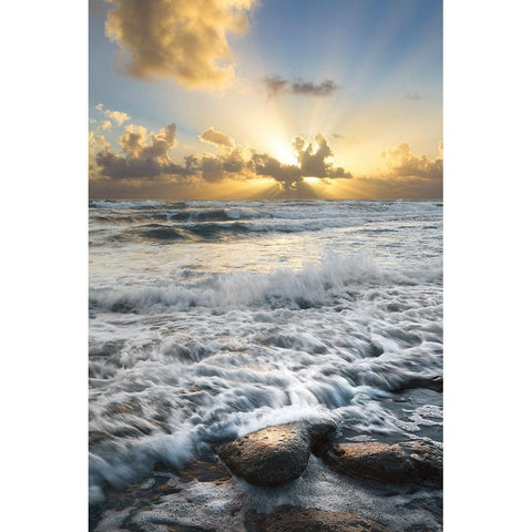 Crash White Modern Wood Framed Art Print by Celebrate Life Gallery