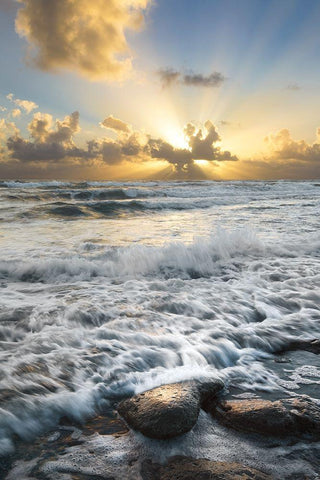 Crash Black Ornate Wood Framed Art Print with Double Matting by Celebrate Life Gallery