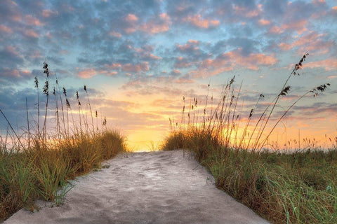 Over the Top White Modern Wood Framed Art Print with Double Matting by Celebrate Life Gallery,