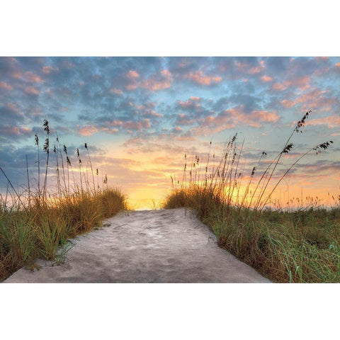 Over the Top Black Modern Wood Framed Art Print by Celebrate Life Gallery,