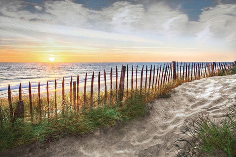 White Sands At Sunset Black Ornate Wood Framed Art Print with Double Matting by Celebrate Life Gallery