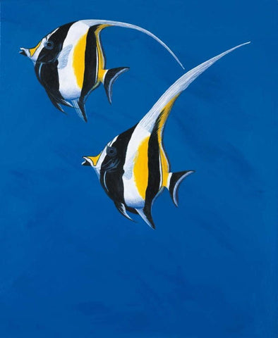 Moorish Idols - Blue Black Ornate Wood Framed Art Print with Double Matting by Siddle, Keith