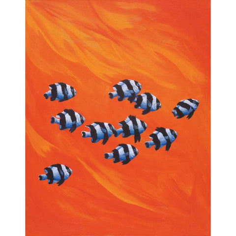 10 Black-Tailed Humbugs White Modern Wood Framed Art Print by Siddle, Keith
