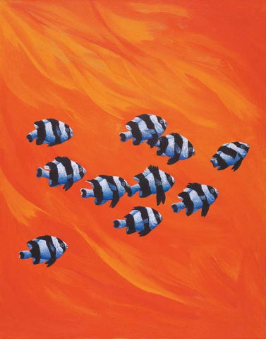 10 Black-Tailed Humbugs White Modern Wood Framed Art Print with Double Matting by Siddle, Keith