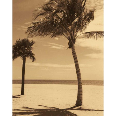 Palm Beach I White Modern Wood Framed Art Print by Kelly, Dennis