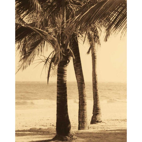 Palm Beach II Black Modern Wood Framed Art Print with Double Matting by Kelly, Dennis