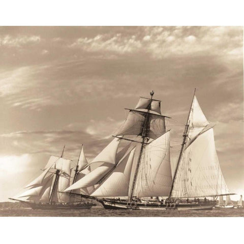 Maiden Voyage II White Modern Wood Framed Art Print by Stevens, David