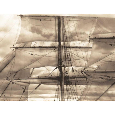 Nautical Dream II Black Modern Wood Framed Art Print by Stevens, David