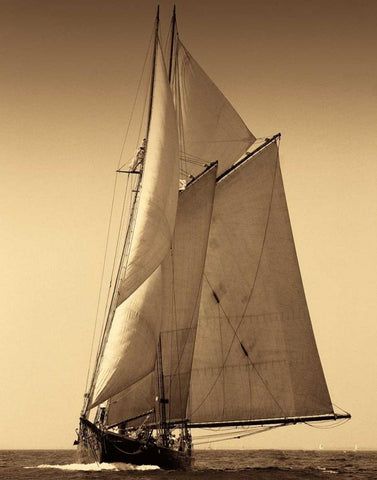 Under Sail I White Modern Wood Framed Art Print with Double Matting by LeBlanc, Frederick J.