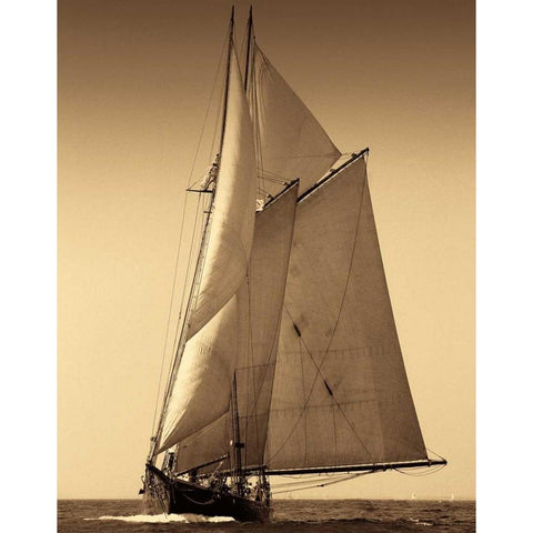 Under Sail I Black Modern Wood Framed Art Print with Double Matting by LeBlanc, Frederick J.