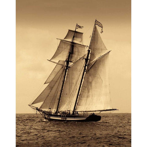 Under Sail II White Modern Wood Framed Art Print by LeBlanc, Frederick J.