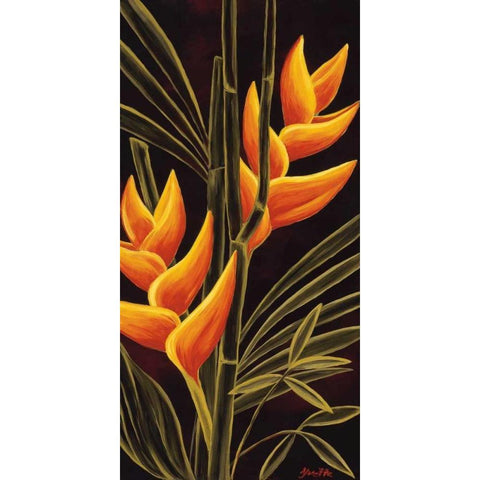 Heliconia Black Modern Wood Framed Art Print by St. Amant, Yvette