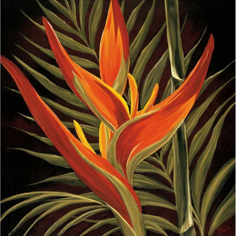 Birds of Paradise I White Modern Wood Framed Art Print by St. Amant, Yvette