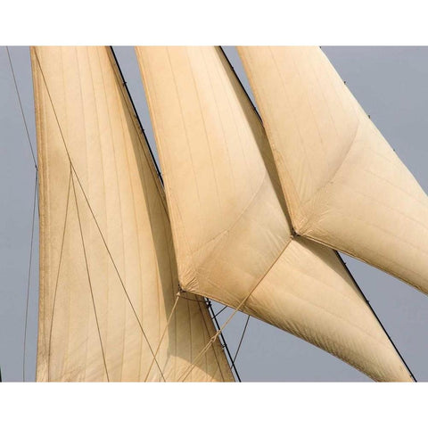 Windward I White Modern Wood Framed Art Print by LeBlanc, Frederick J.