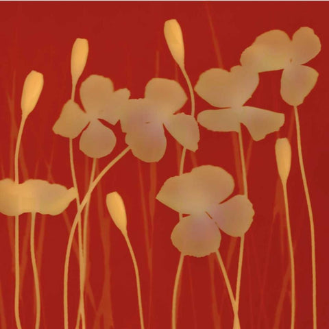 Charms Black Modern Wood Framed Art Print with Double Matting by Jantzer, Ethan