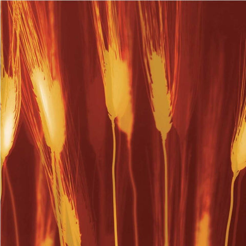 Harvest White Modern Wood Framed Art Print with Double Matting by Jantzer, Ethan