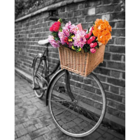 Basket of Flowers II White Modern Wood Framed Art Print by Frank, Assaf