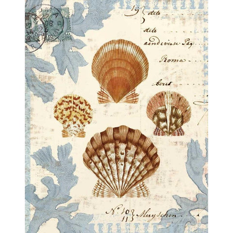 Seashell Collection I Black Modern Wood Framed Art Print by Berg, Sabine