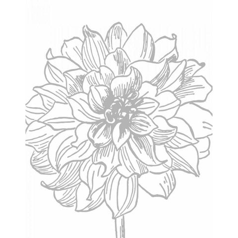 Florette III Black Modern Wood Framed Art Print with Double Matting by Berg, Sabine