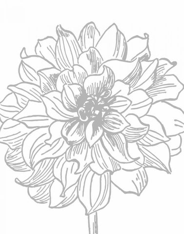 Florette III Black Ornate Wood Framed Art Print with Double Matting by Berg, Sabine
