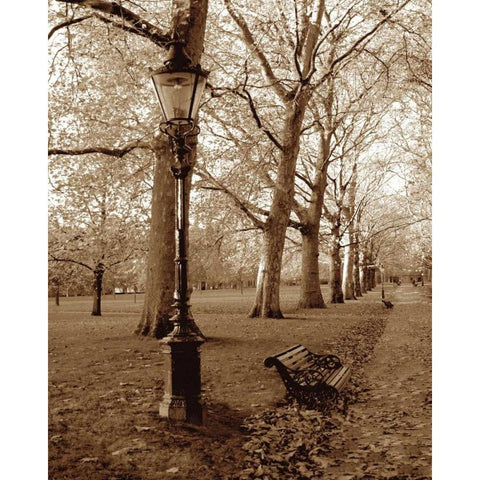 Restful Autumn I Black Modern Wood Framed Art Print with Double Matting by Maihara/Watt, Jeff/Boyce