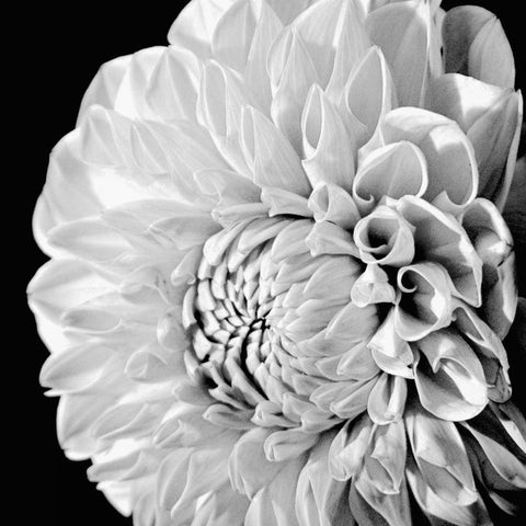 Sunburst II White Modern Wood Framed Art Print with Double Matting by Maihara/Watt, Jeff/Boyce