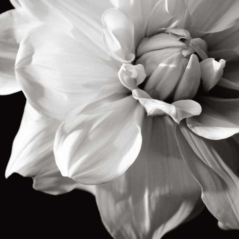 Sunburst III White Modern Wood Framed Art Print with Double Matting by Maihara/Watt, Jeff/Boyce