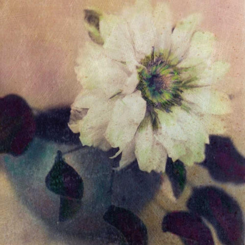 Natures Blossoms I Gold Ornate Wood Framed Art Print with Double Matting by Friedman, Susan