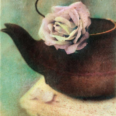 Natures Blossoms II White Modern Wood Framed Art Print with Double Matting by Friedman, Susan