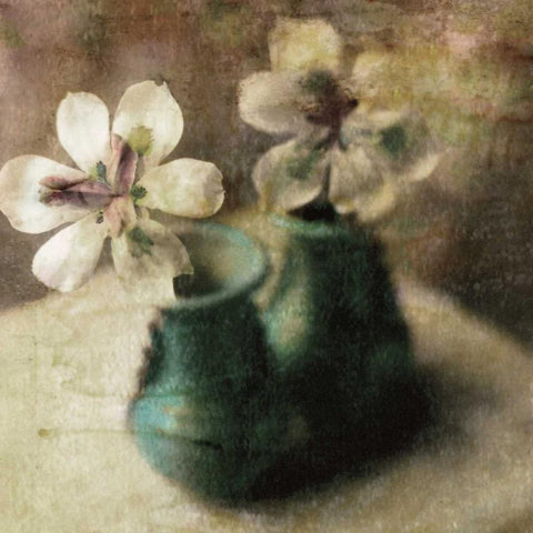 Natures Blossoms IV Black Modern Wood Framed Art Print with Double Matting by Friedman, Susan