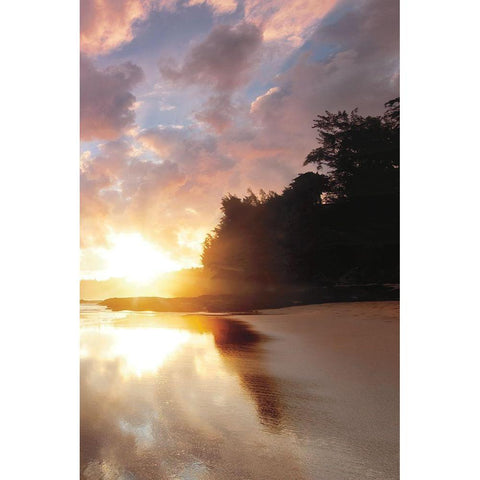 Secret Beach Sunrise III Black Modern Wood Framed Art Print with Double Matting by Frates, Dennis