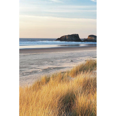 Dune Grass and Beach I Gold Ornate Wood Framed Art Print with Double Matting by Frates, Dennis