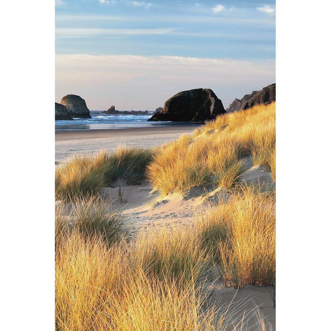 Dune Grass and Beach II White Modern Wood Framed Art Print by Frates, Dennis