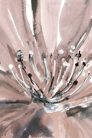 Pretty in Pink II Black Ornate Wood Framed Art Print with Double Matting by Meyers, Rebecca